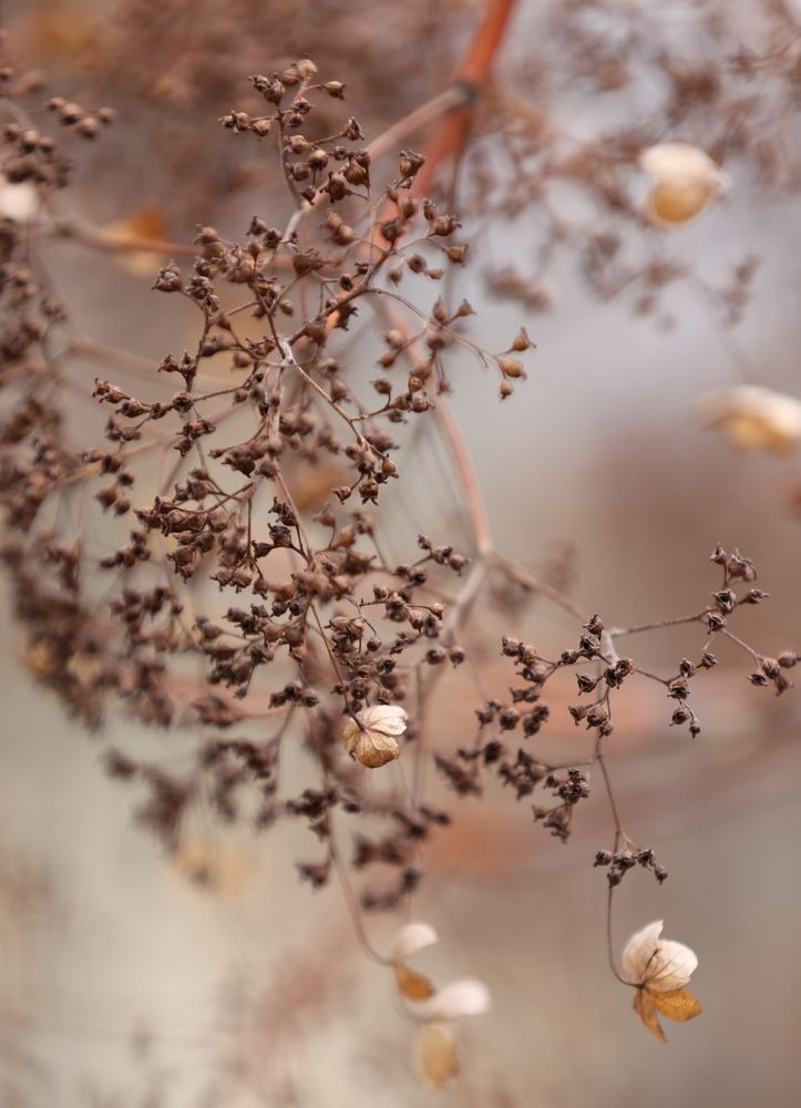 Photograph by Унку Юрий