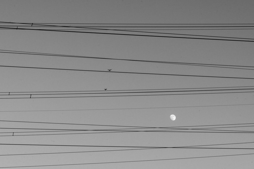 Photograph by Мария Янковская