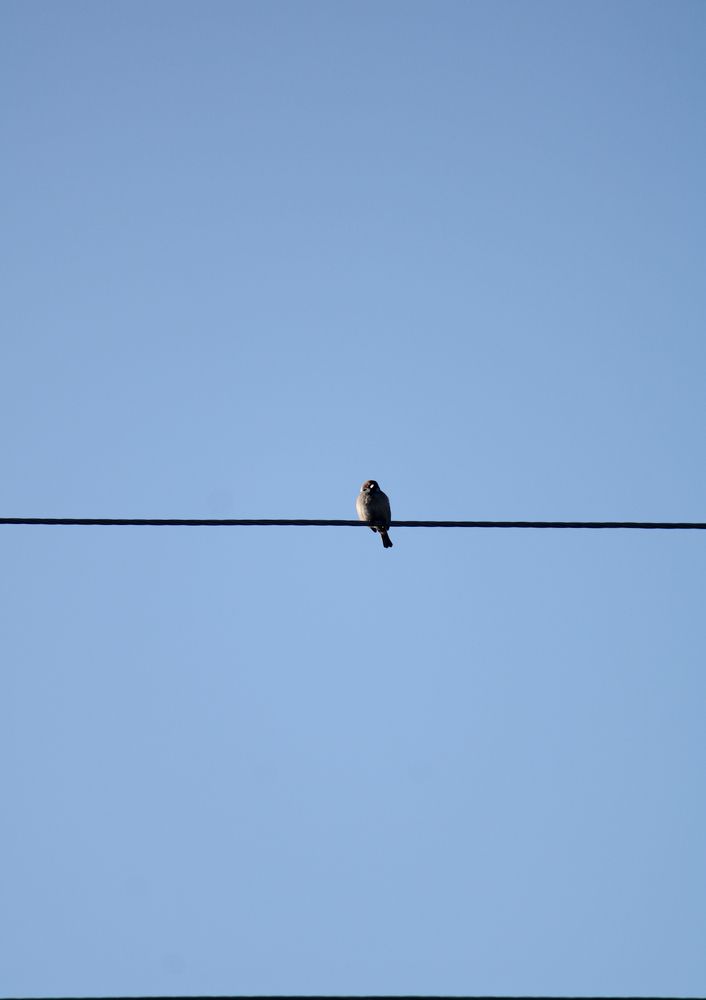 Photograph by Ригина Айдель