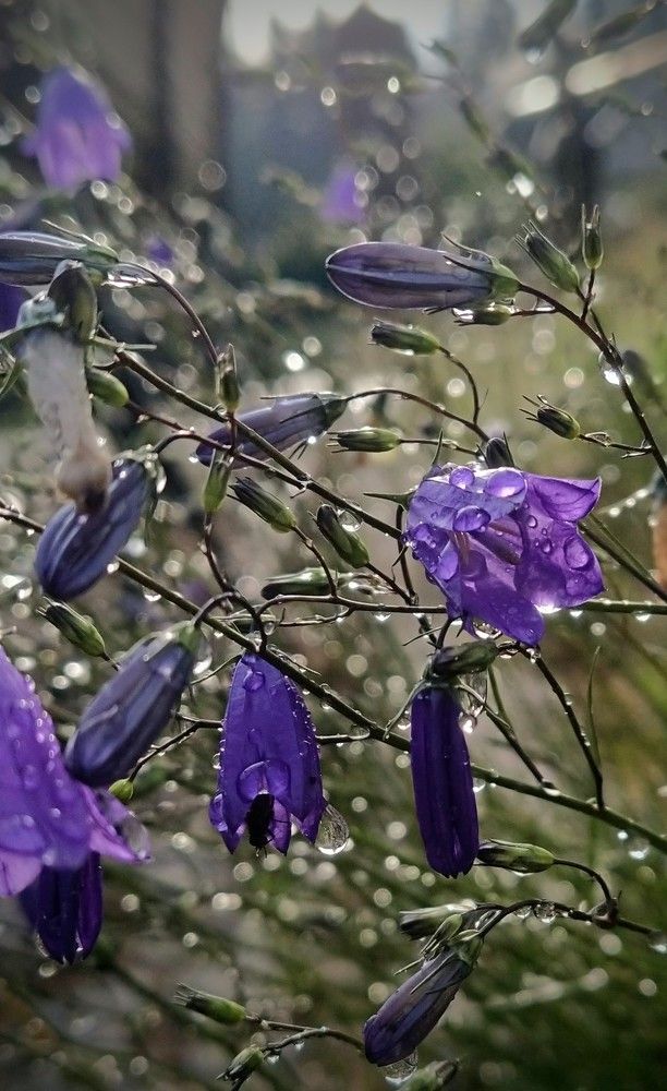 Photograph by Ольга Белик