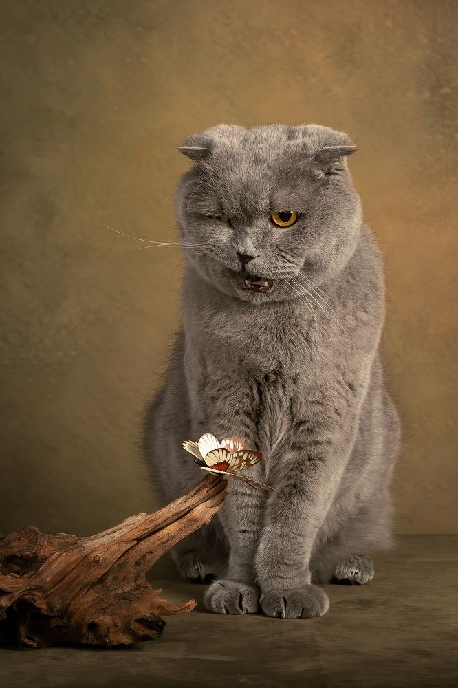 Photograph by Anna Oris