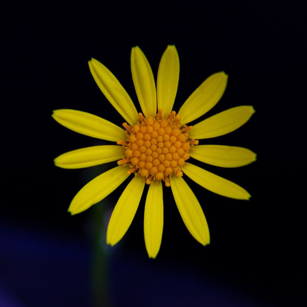 Photograph by Алексей Бирин