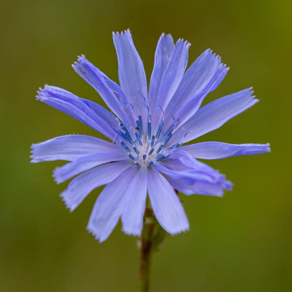 Photograph by Алексей Бирин