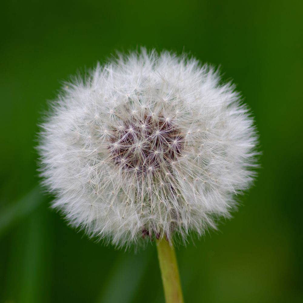 Photograph by Алексей Бирин