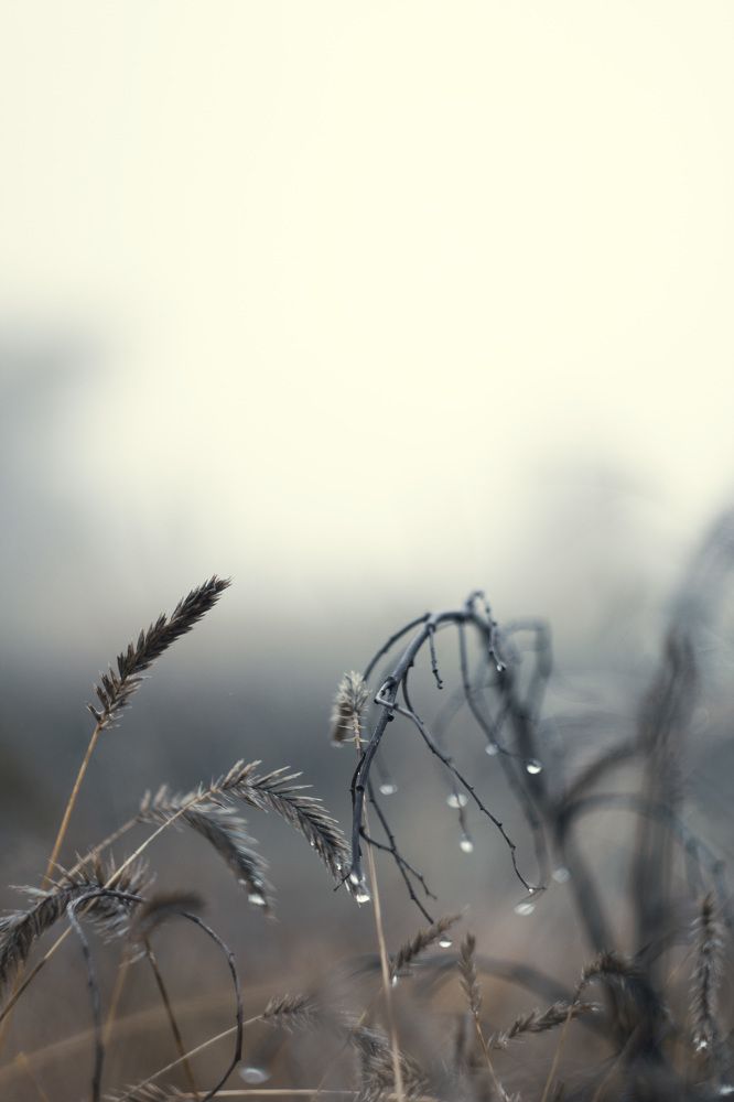 Photograph by Анна Чернявская