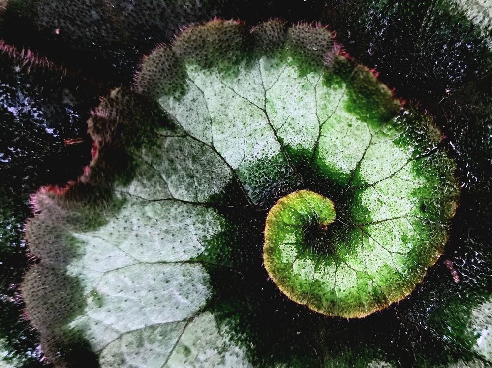 Photograph by Анна