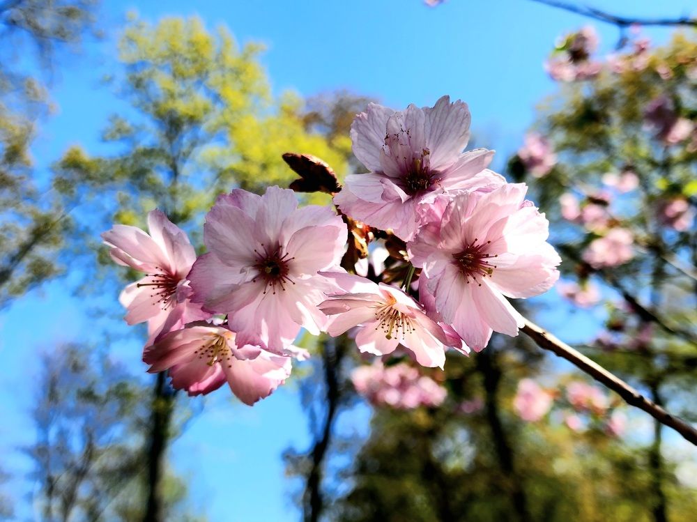 Photograph by Анна