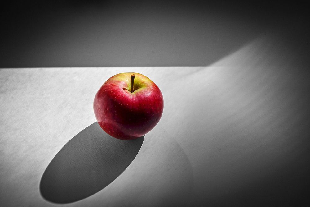 Фотография автора Панасюк Елена