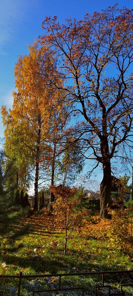 Photograph by Александр Соколов