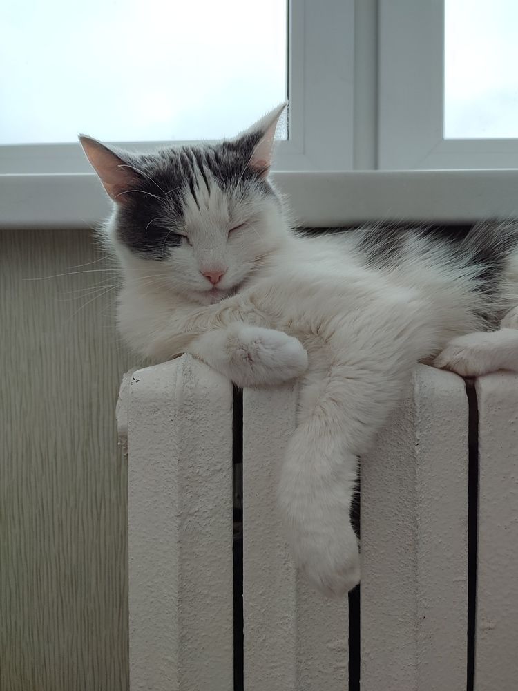 Photograph by Ольга Сучкова