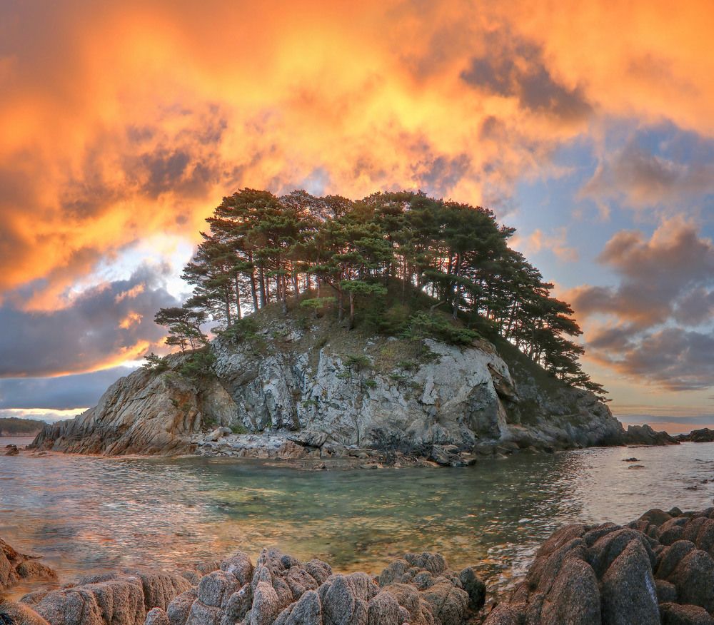 Photograph by Добролюбова Тамара