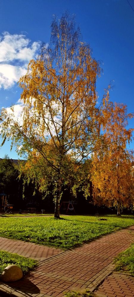 Photograph by Александр Соколов