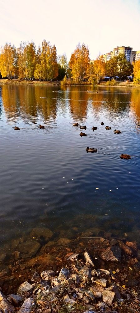 Photograph by Александр Соколов