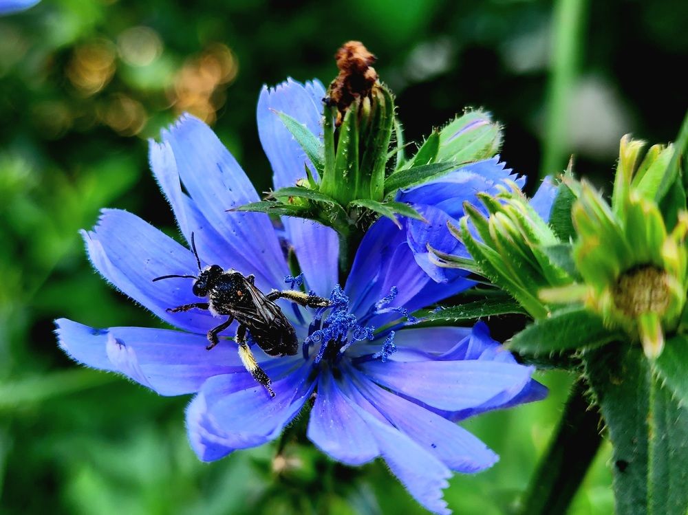 Photograph by Анна