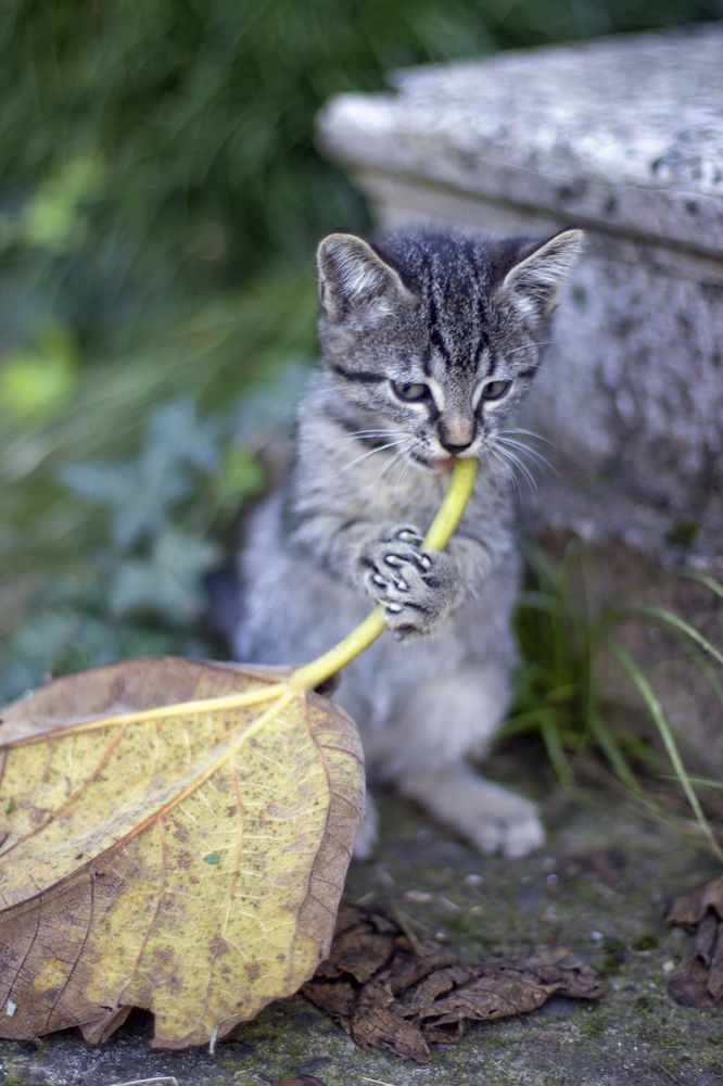 Photograph by Анастасия Северюхина