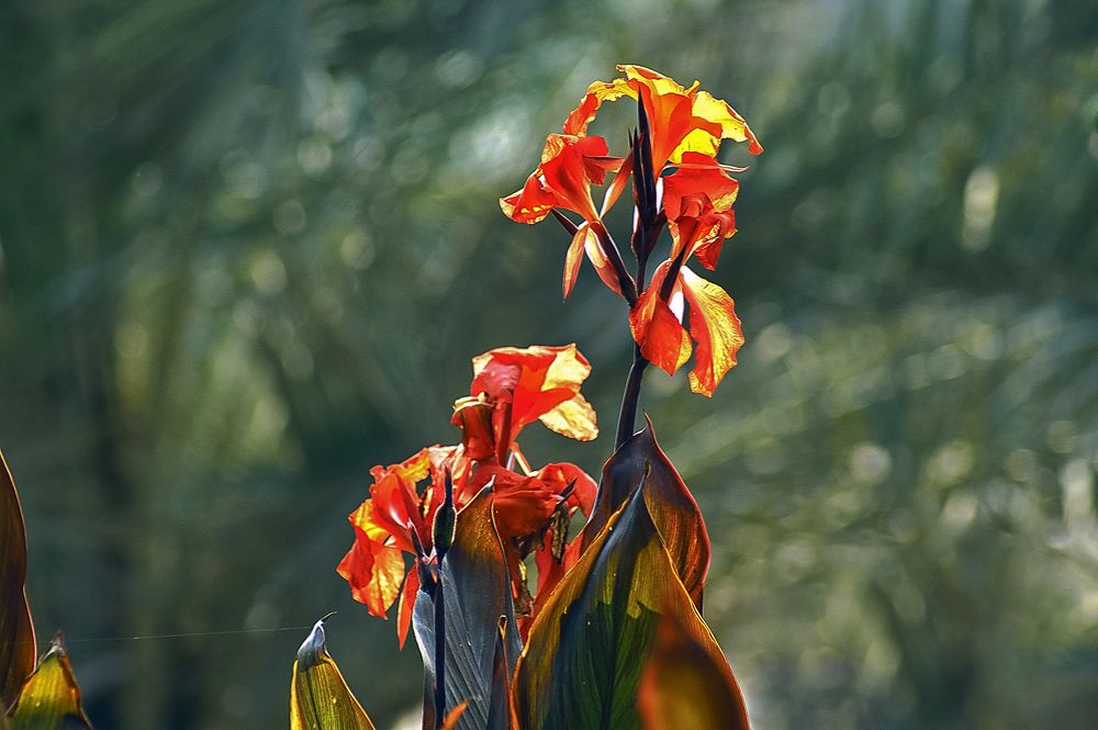 Photograph by Oxana Berezovskaya