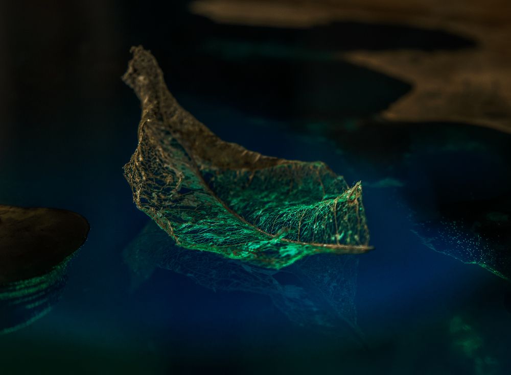 Photograph by Taтьяна Войлокова