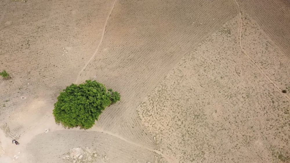 Photograph by Evans Ahorsu