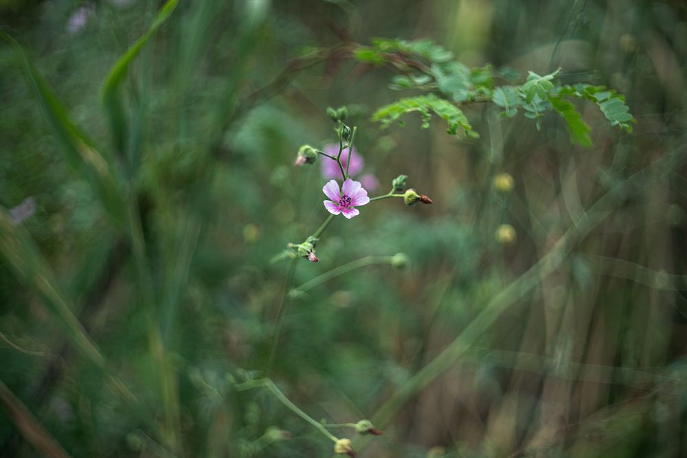 Photograph by Oxana Berezovskaya