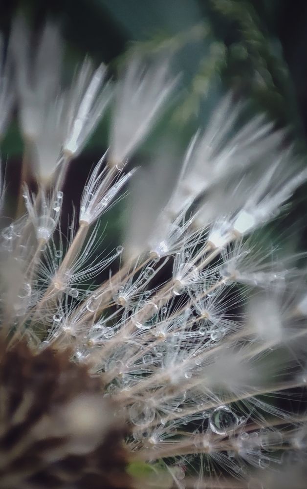 Фотография автора Анастасия Мамаева