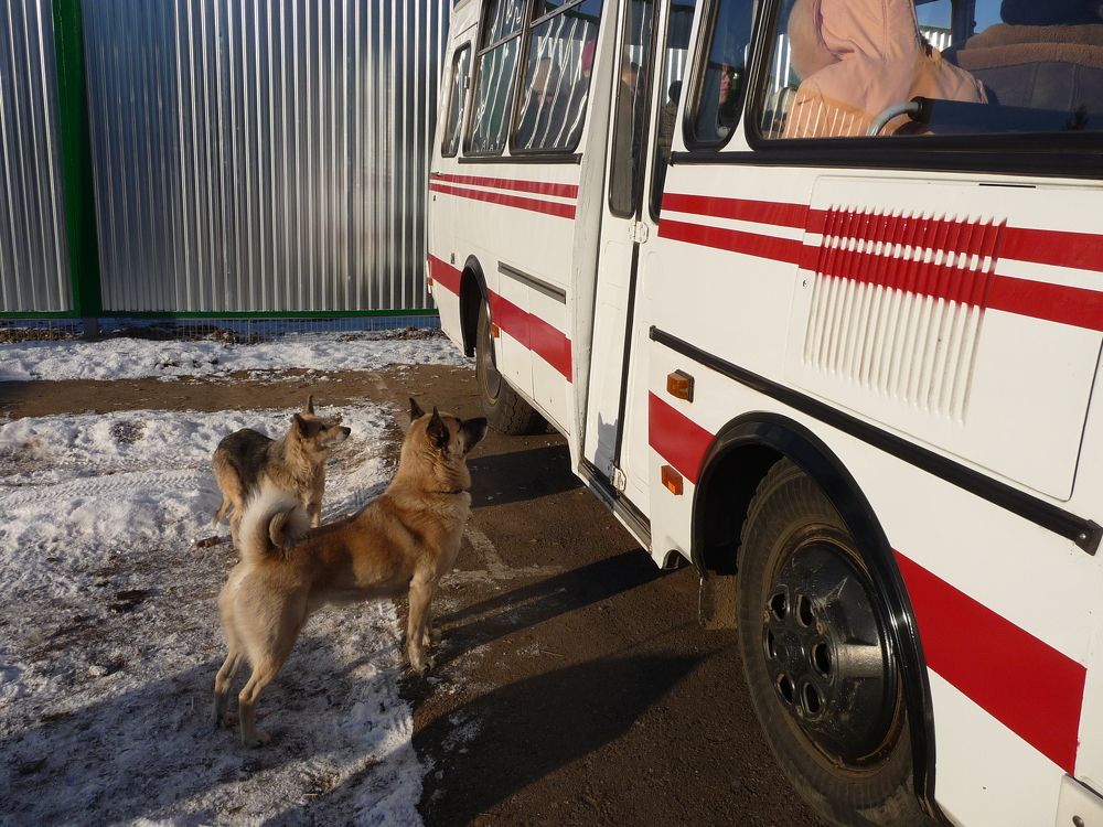 Фотография автора Клавдия Васильева