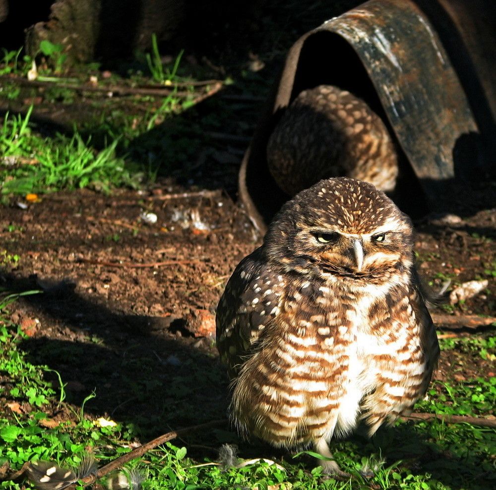 Photograph by Marcelo Luzzi