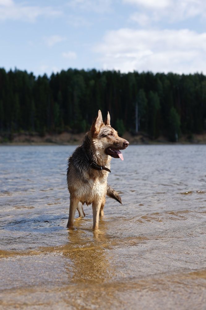 Фотография автора Анна Горохова