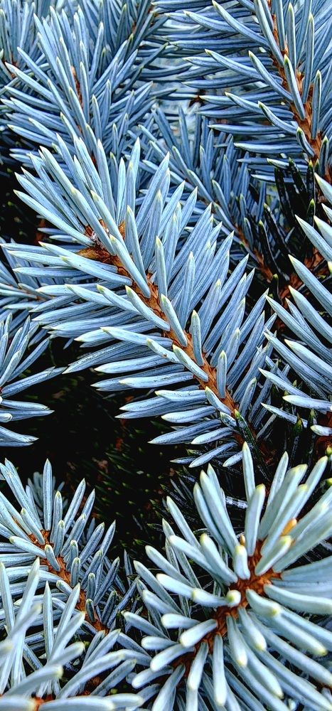 Photograph by Анна