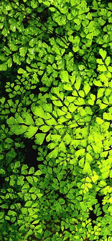 Photograph by Анна