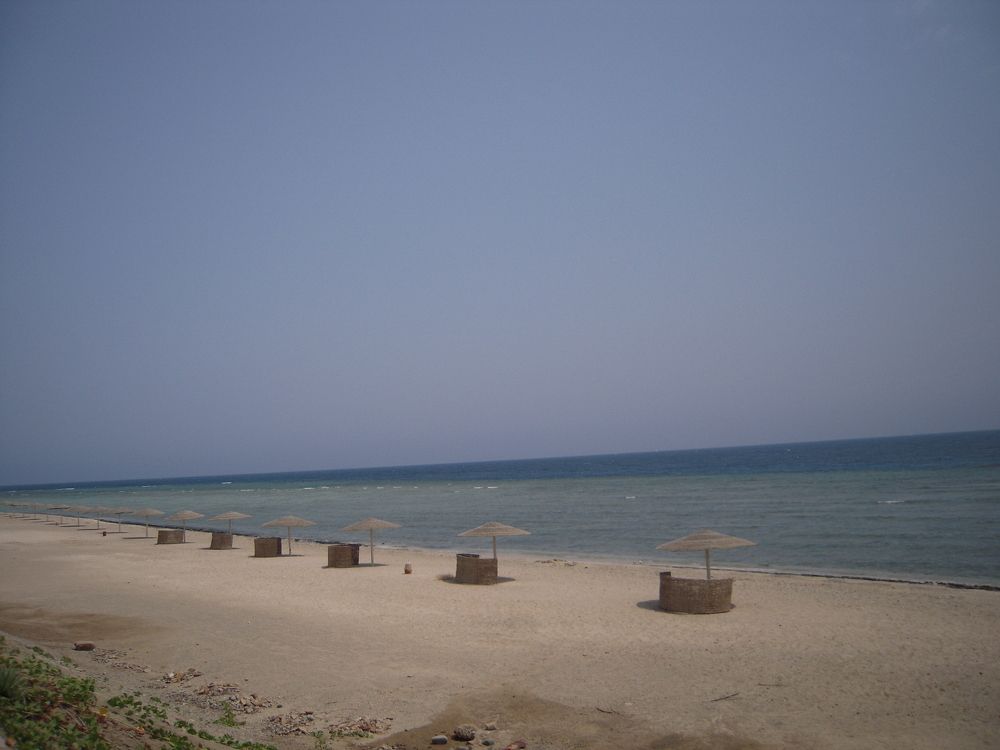 Photograph by ЭЛЬМИРА  ИСМАИЛОВА