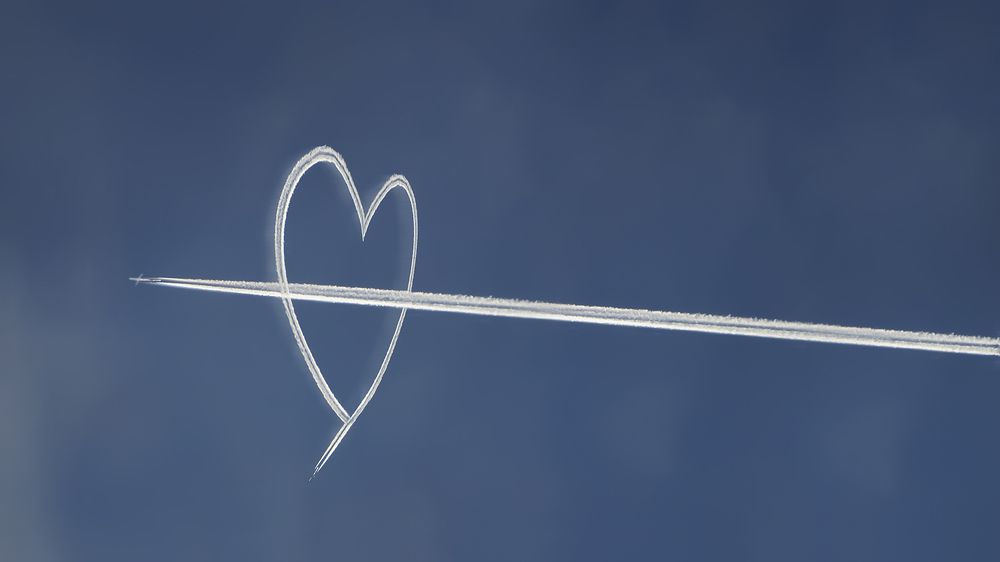 Photograph by Алексей Парамонов