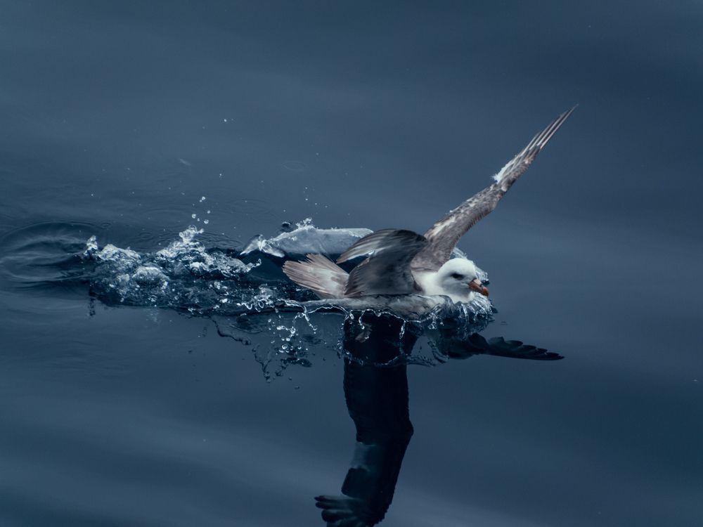 Photograph by Алексей Перегудин