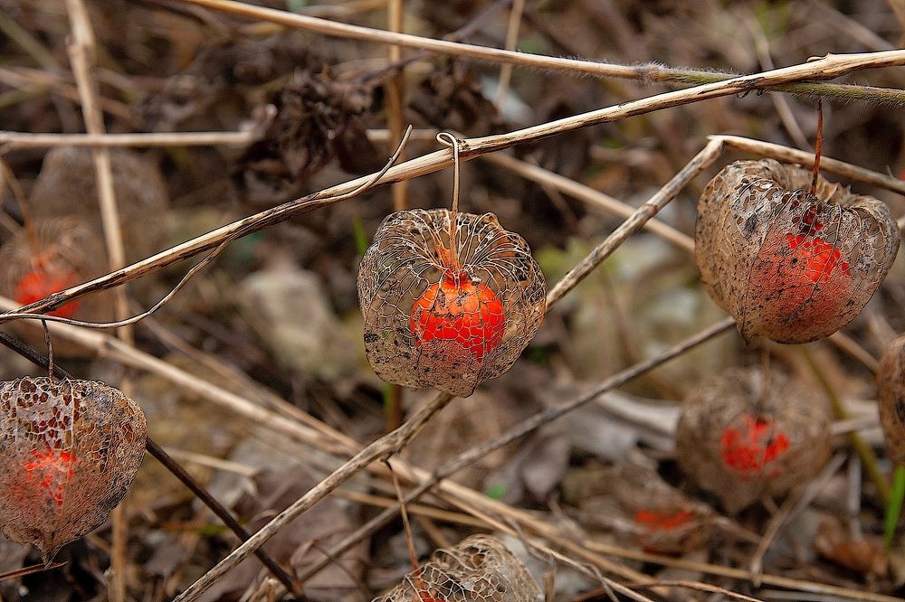 Photograph by Сергей Христинич