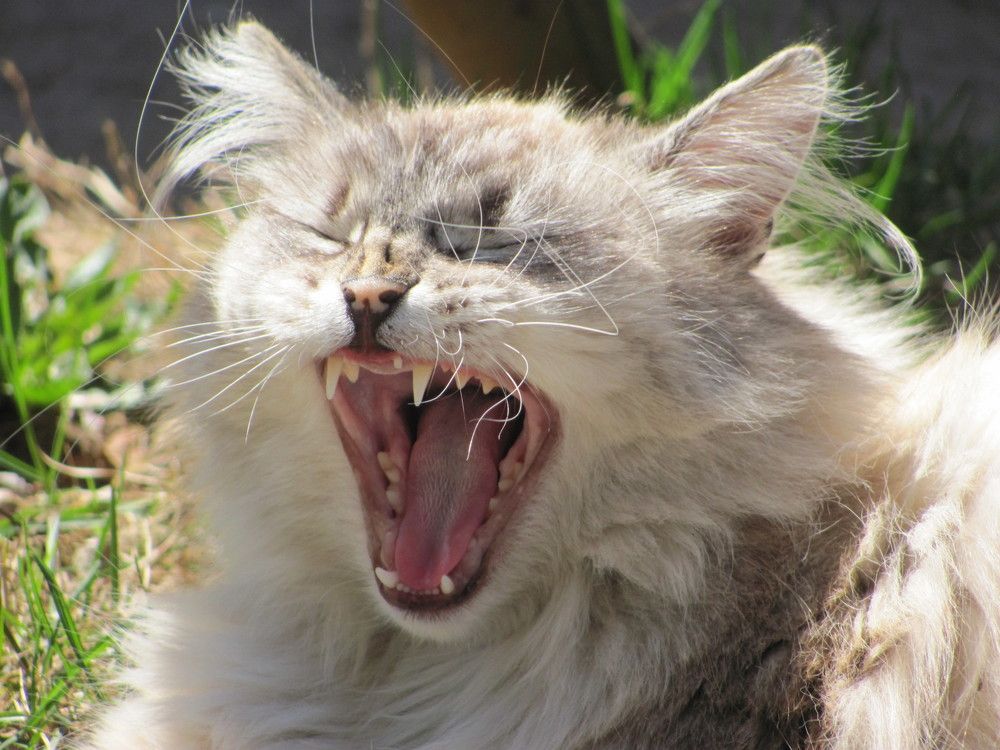 Photograph by Юлия