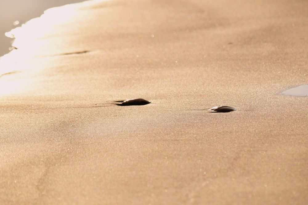 You can die on golden sand...