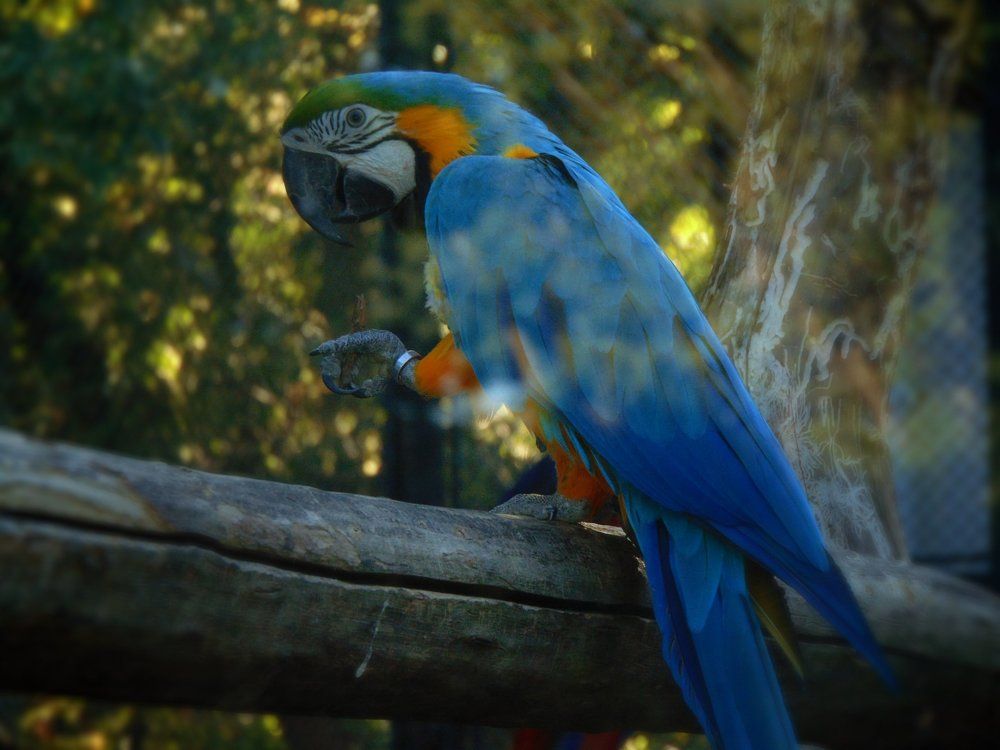 Photograph by Anna Veľasová