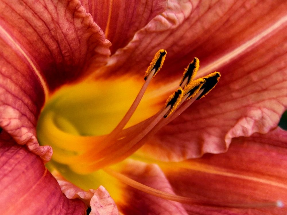 Photograph by Дмитрий Розенбаум