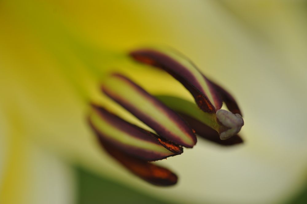 Photograph by Дмитрий Розенбаум