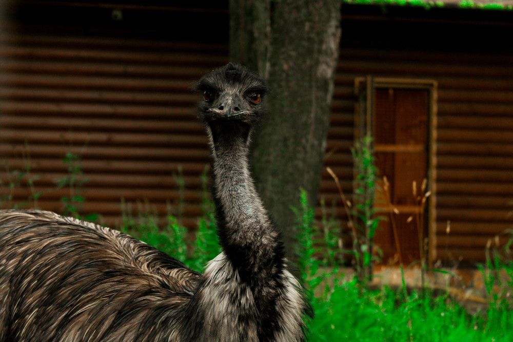 Photograph by Анастасия Коваль