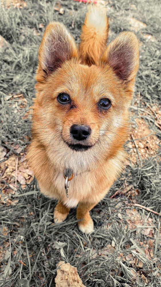 Photograph by Esmaeil ghorbani