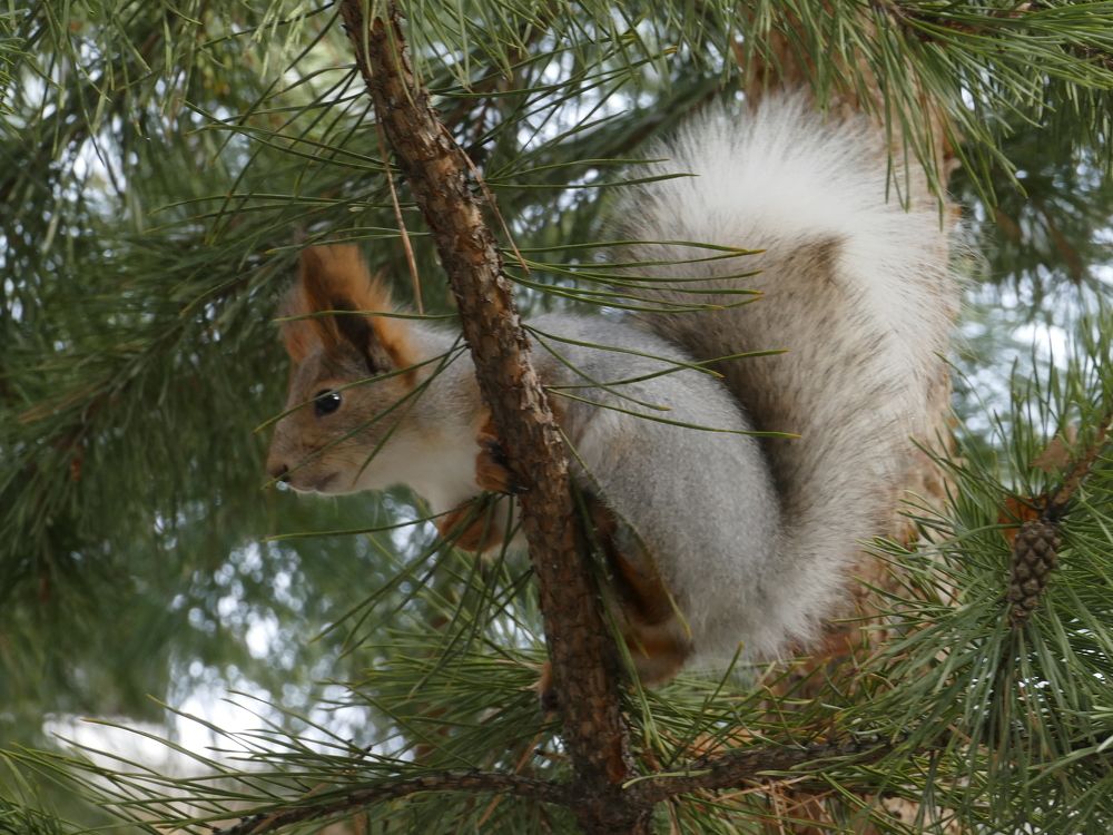 Photograph by Александр Кизим