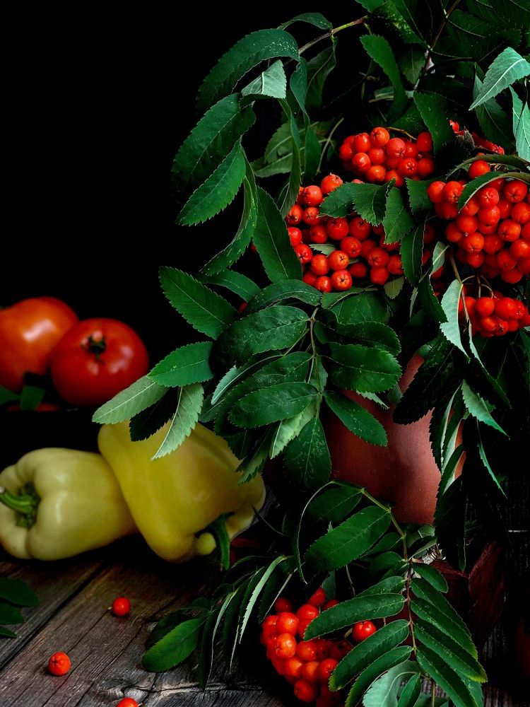 Photograph by Ольга Уласик