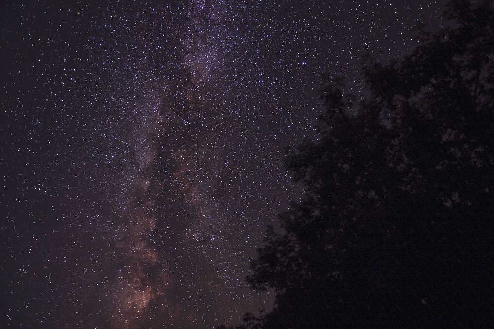 Photograph by Сергей Ветошкин