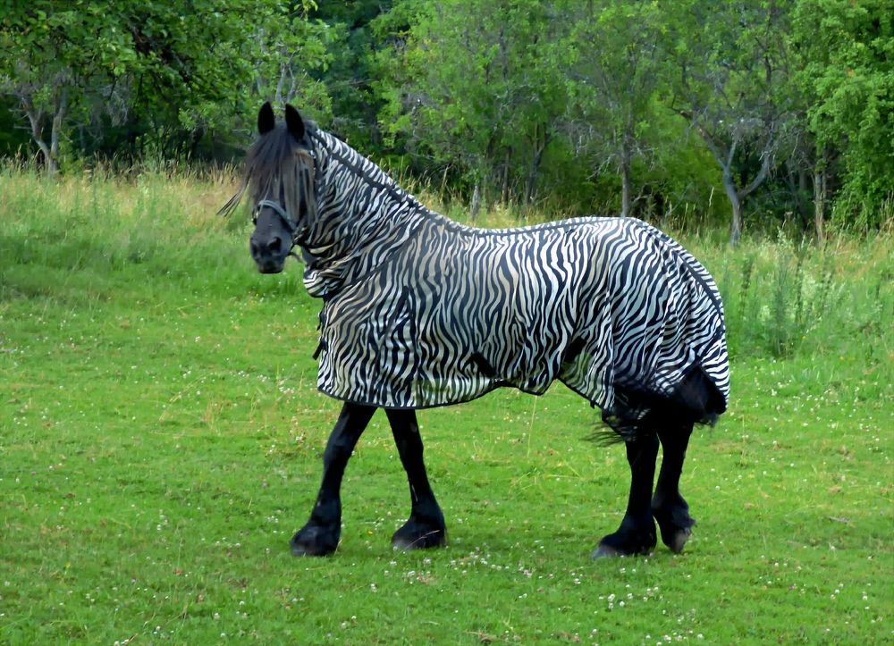 Photograph by Pjotr Alekseev