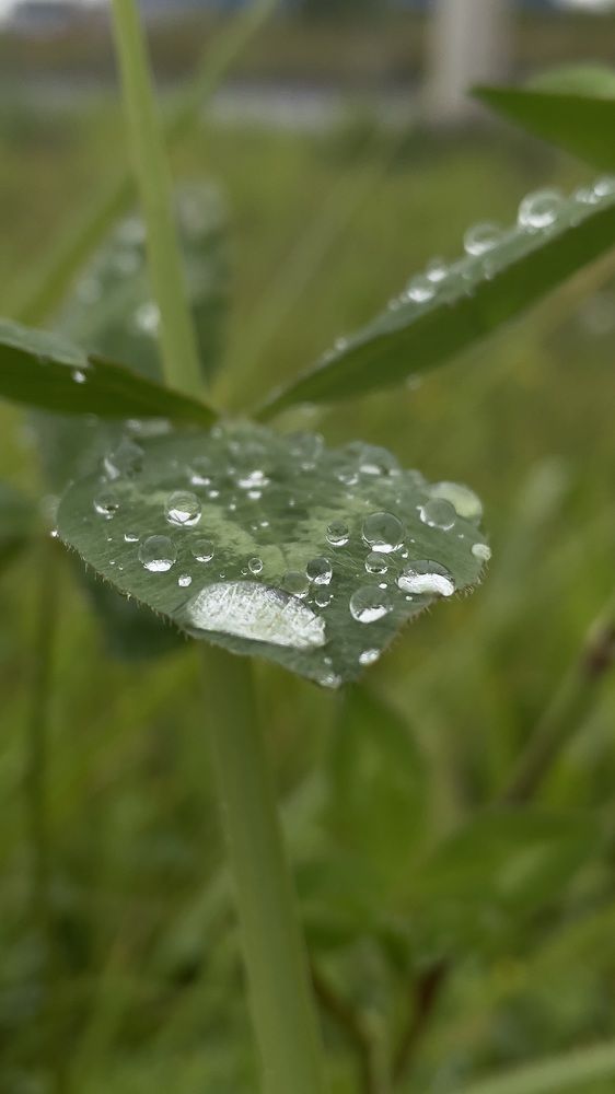 Photograph by Денис Смородин