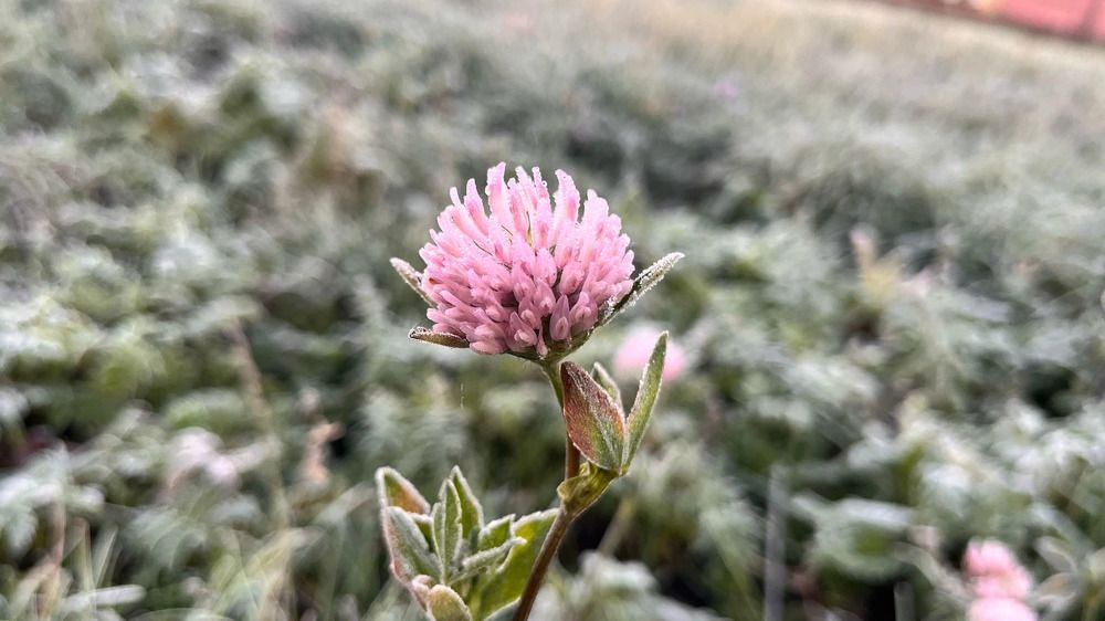 Photograph by Денис Смородин