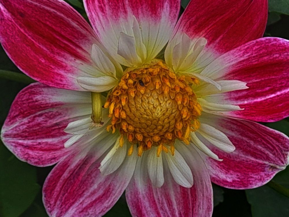 Photograph by Ольга Березовская