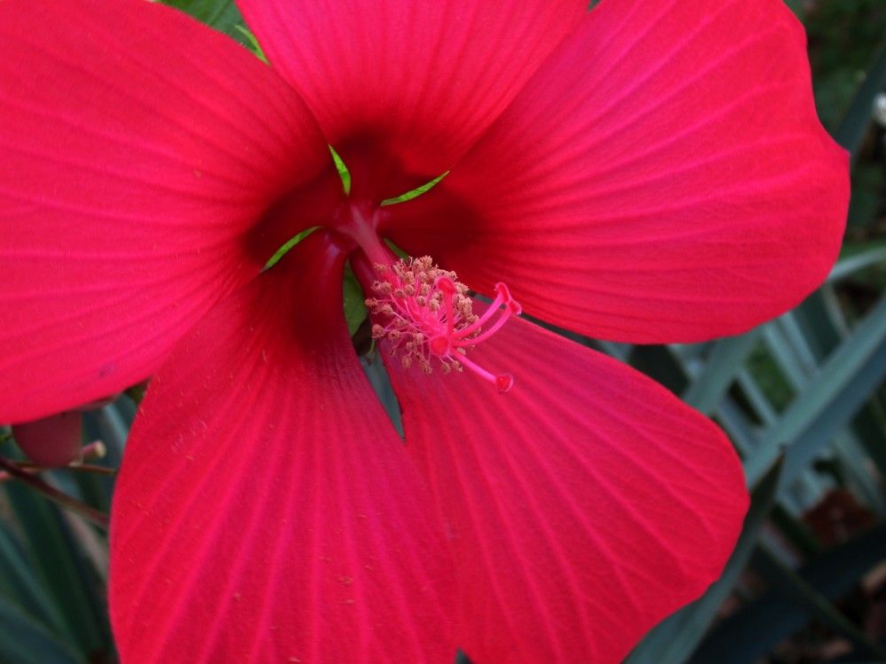 Photograph by Ольга Березовская