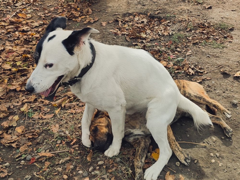 Фотография автора Таня Долгушева