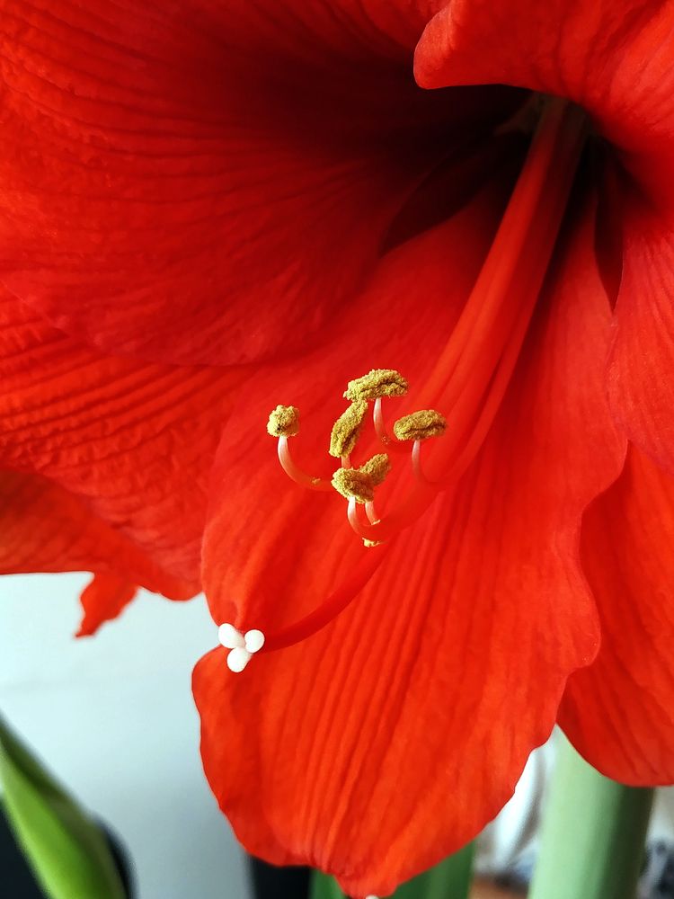 Photograph by Игорь Шевердин